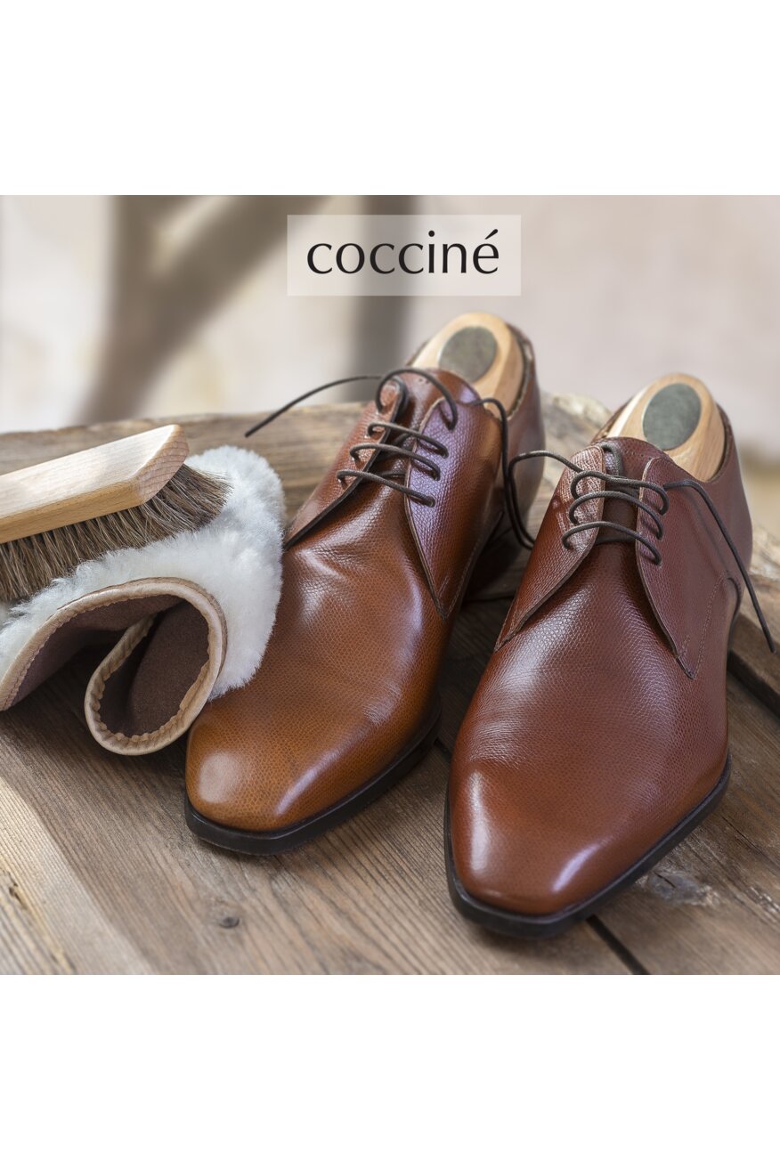 
                Kozmetika za obuću Coccine PROZIRNA - 5900949526003