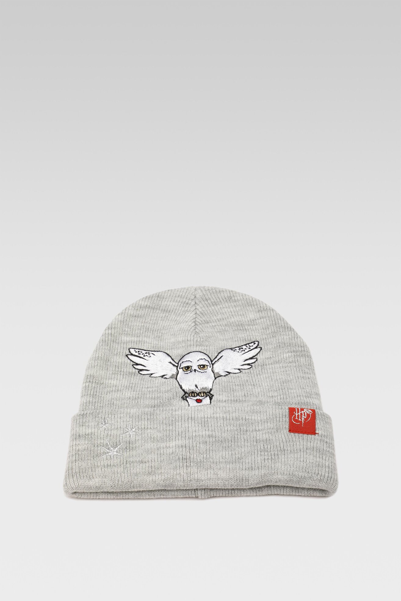 Czapka dziecięca Harry Potter ACCCS-AW22-051WBHP-A Szary