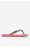 Pantofle Havaianas 41299347600 MIX