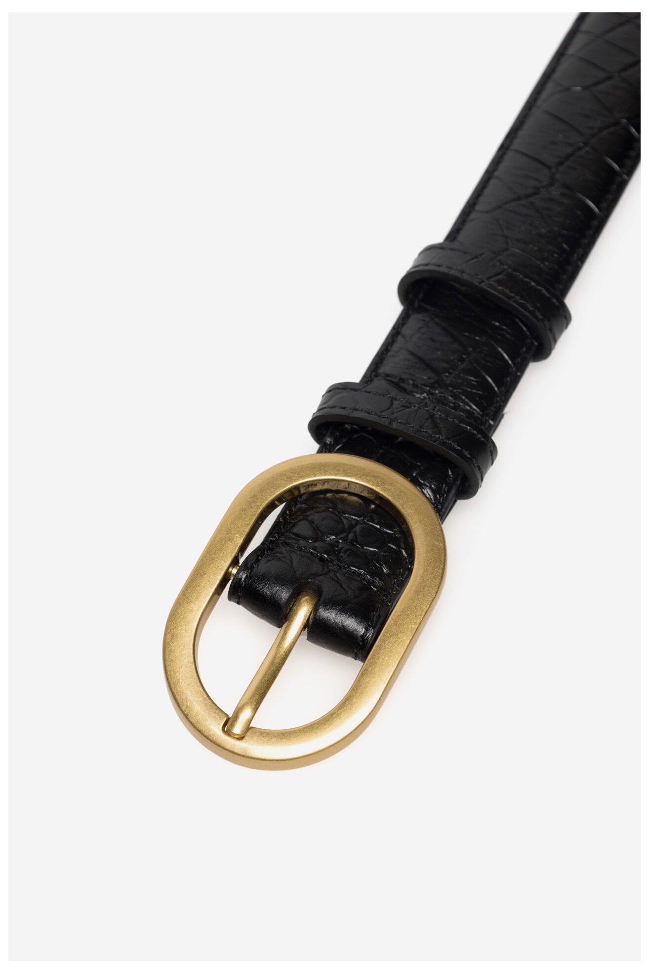 Pasek damski Gino Rossi BLYL23001 Czarny