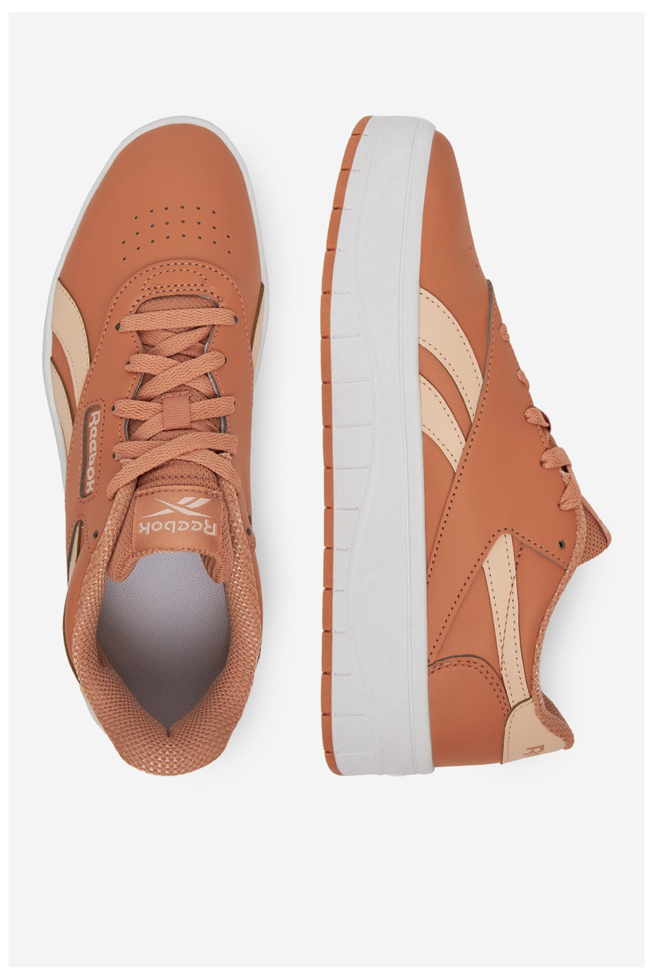 Obuwie sportowe Reebok COURT ADVANCE SURGE 100234722 Camel