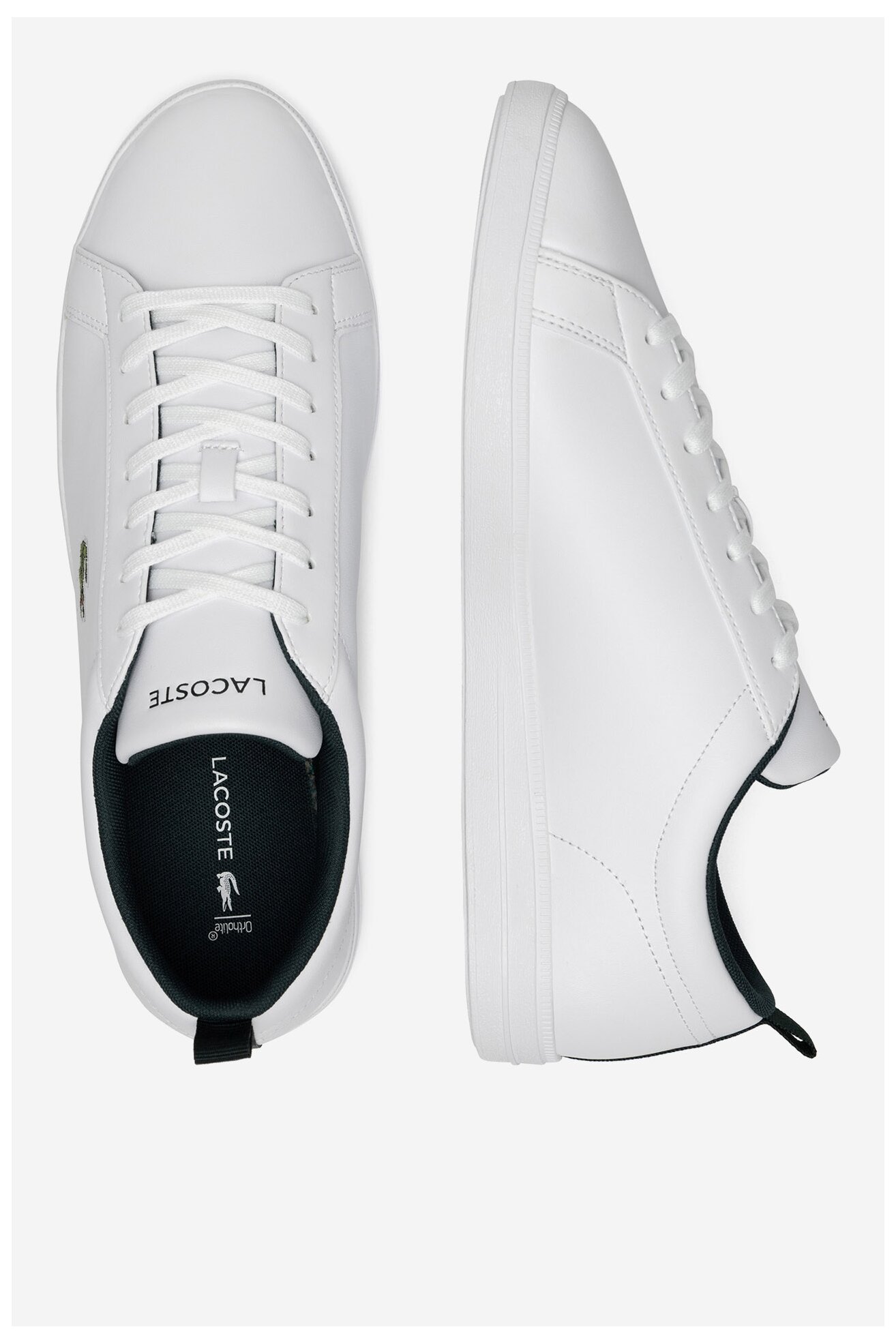 Obuwie sportowe LACOSTE CARNA BASE 48SMA0112-1R5 Biały