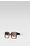 Okulary damskie Gino Rossi AGG-A-605-D Czarny