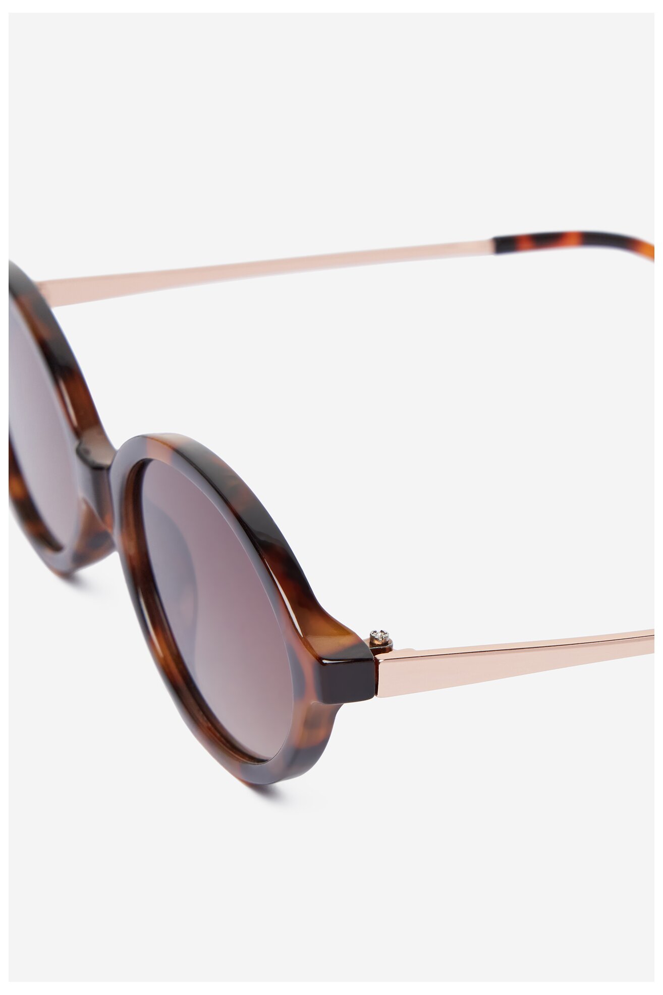 Ženske sunčane naočare Jenny 4WF-015-SS25 BRAON