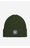 Шапка Чоловіча DC Shoes CEO-DC-M3-001-AW25 ЗЕЛЕНИЙ