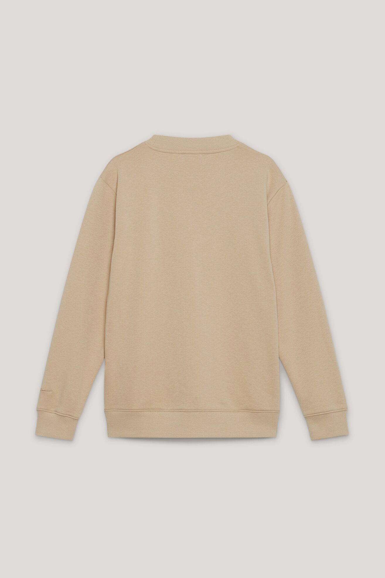 Bluza Sprandi AW21-BLM007 Beżowy