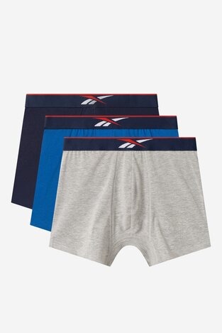 Donje rublje Reebok JORDAN - AW24 (3-PACK) MIKS
