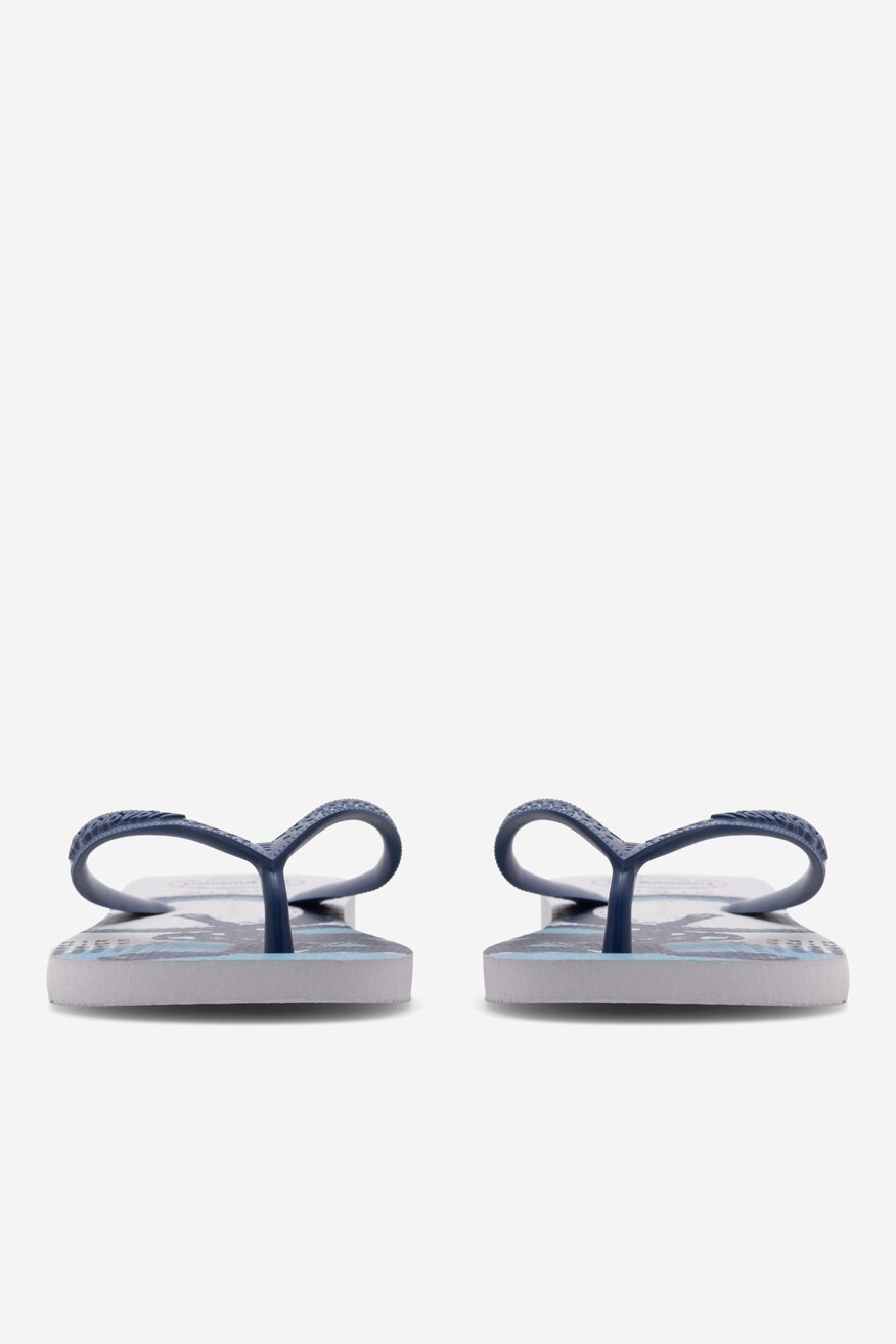 Джапанки Havaianas МИКС - 2230043254285
