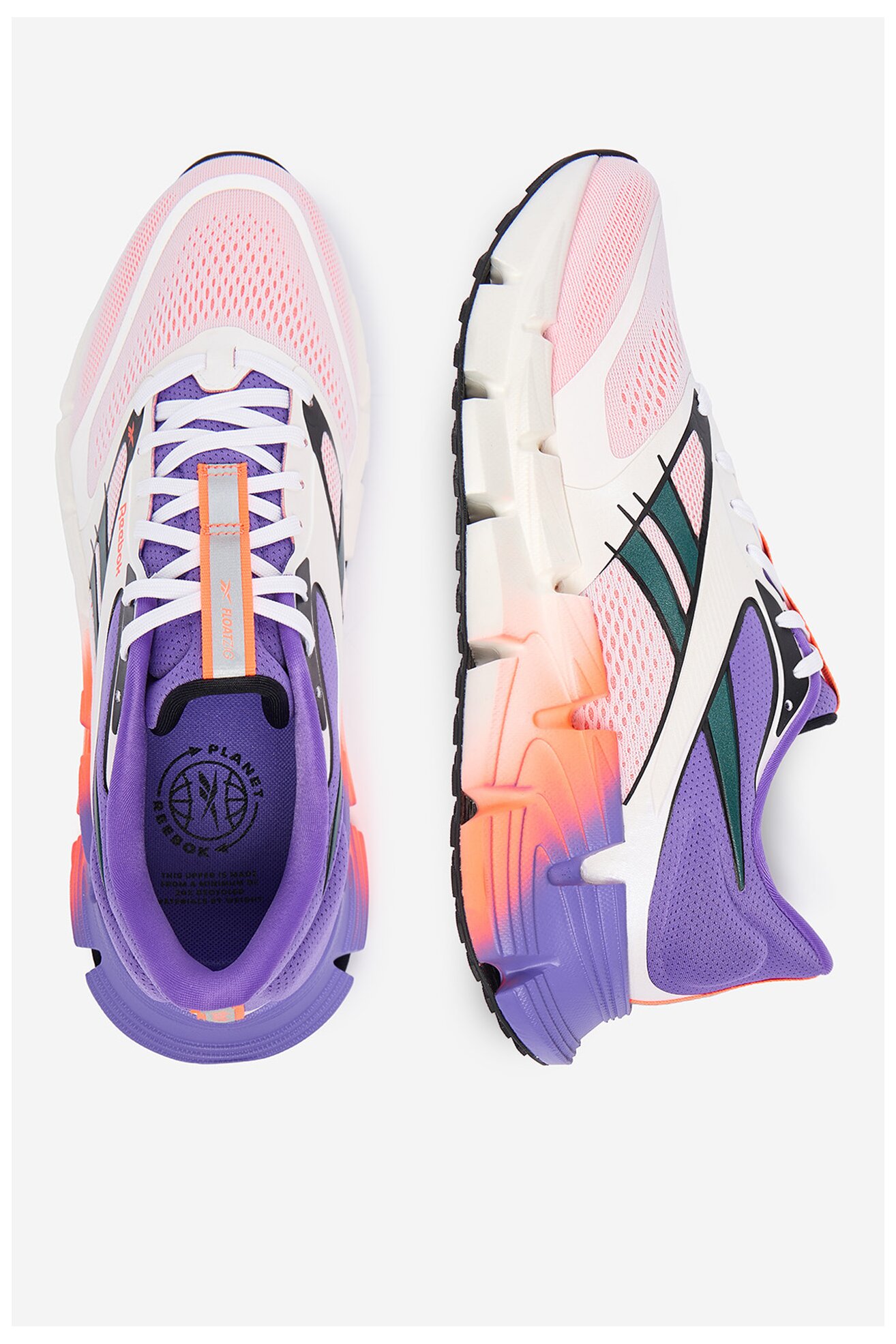 Încălțăminte sport Reebok EOSB-FLOATZIG 2 100225499 MIX