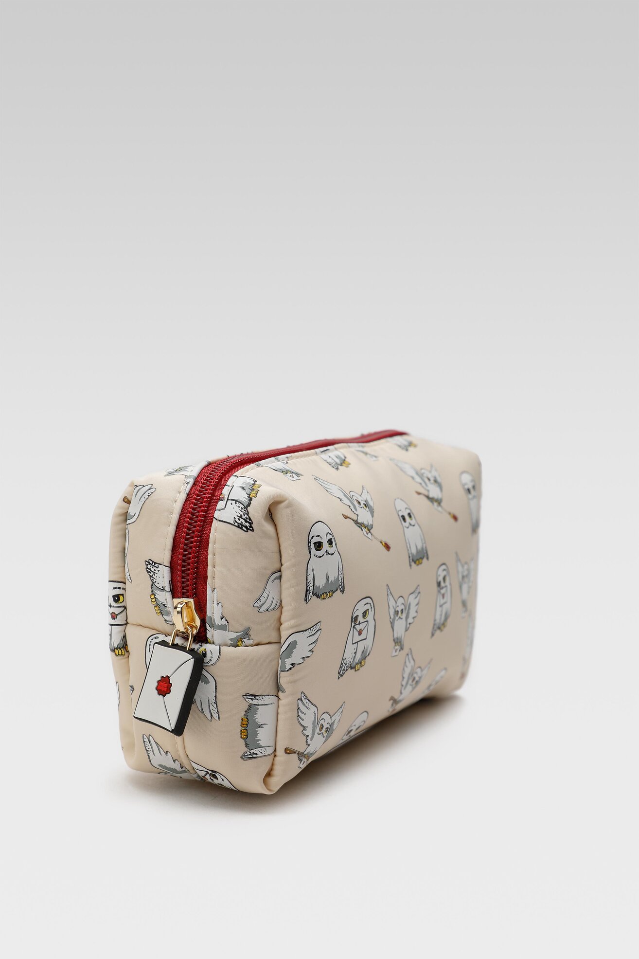 Piórnik Harry Potter ACCCS-AW22-037WBHP-B Beżowy