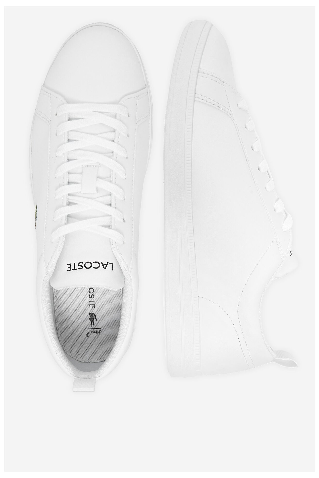 Obuwie sportowe LACOSTE CARNA BASE 48SFA0123-21G Biały