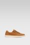 Cipele Go Soft 4839-01 KAMEL