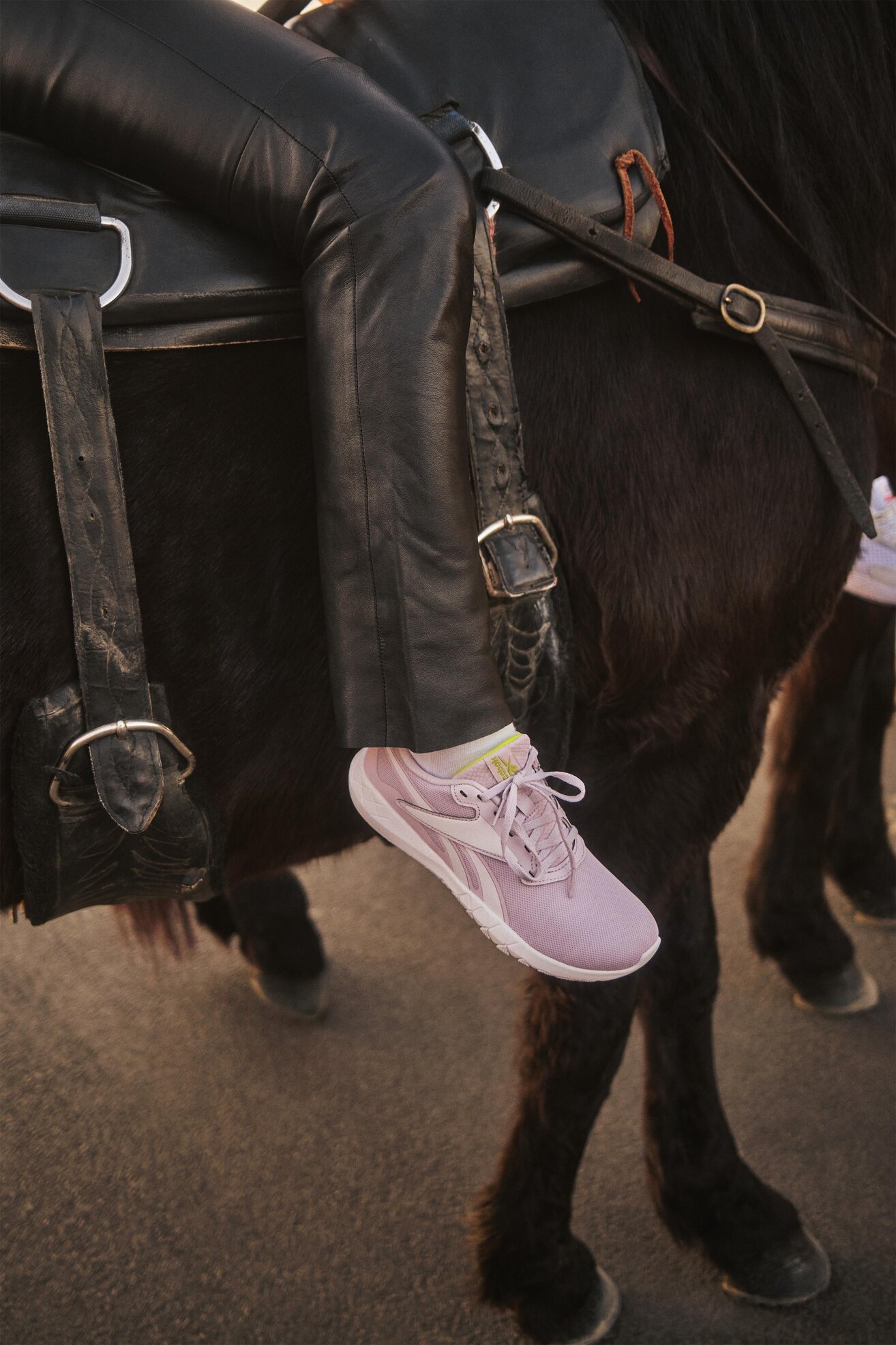 Obuwie sportowe Reebok FLEXAGON ENERGY TR 3 GZ0297 Fioletowy