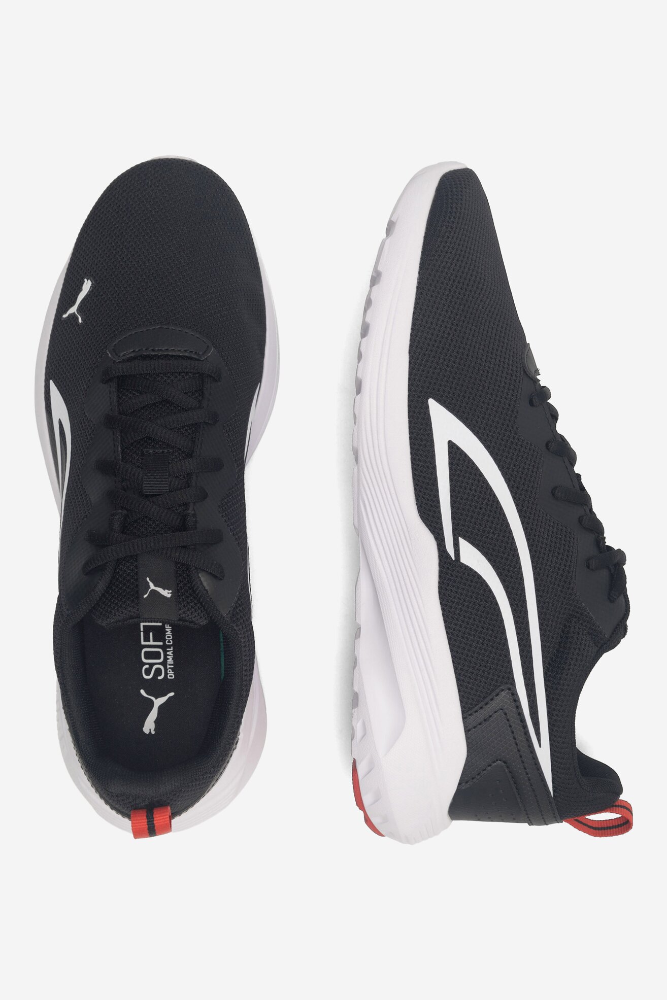 Obuwie sportowe Puma ALL-DAY ACTIVE 38626903 Czarny