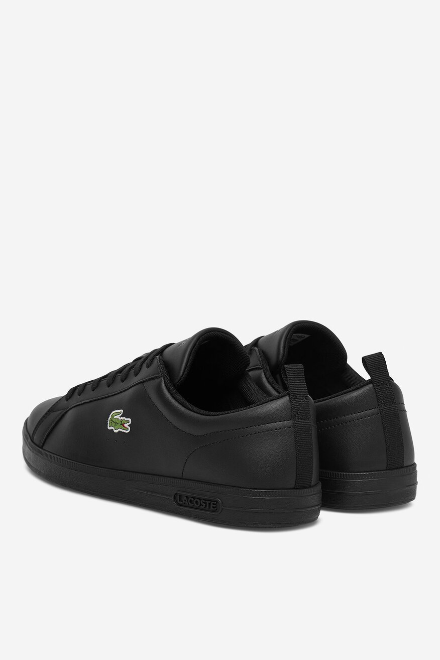 LACOSTE - COURT BASE - 5906751537015