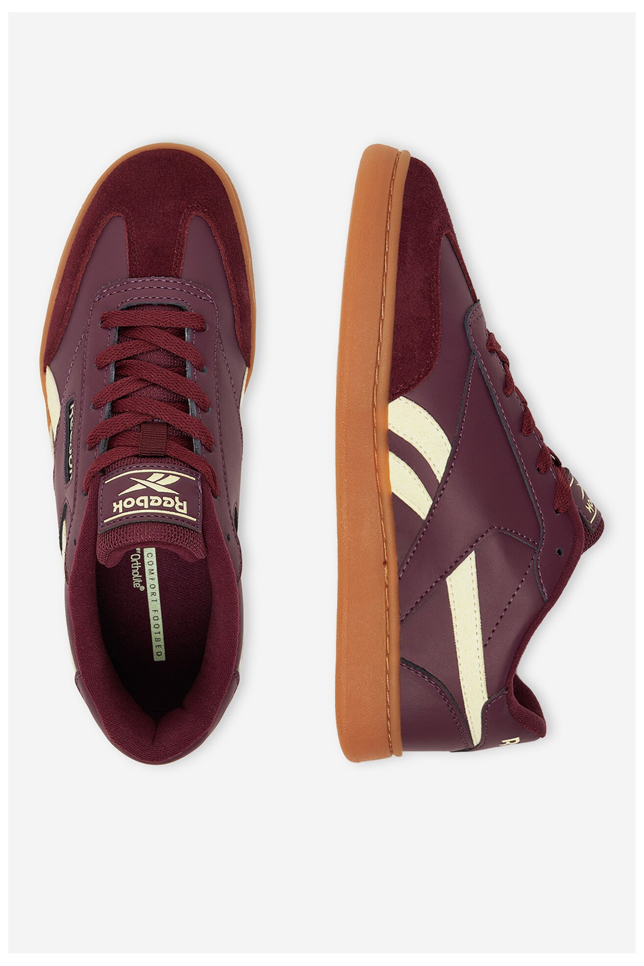 Sportska obuća Reebok CEO-FORTE LOUNGER AR30252W-RY BORDO