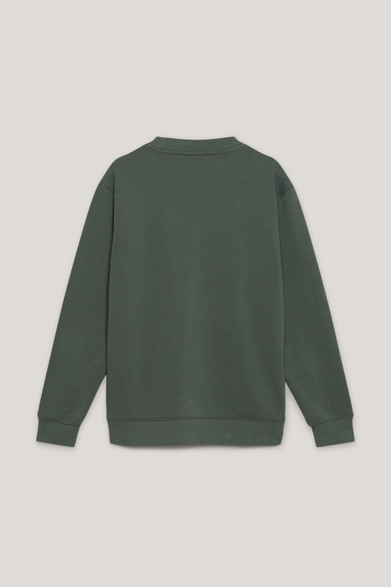 Bluza Sprandi AW21-BLM009 Zielony