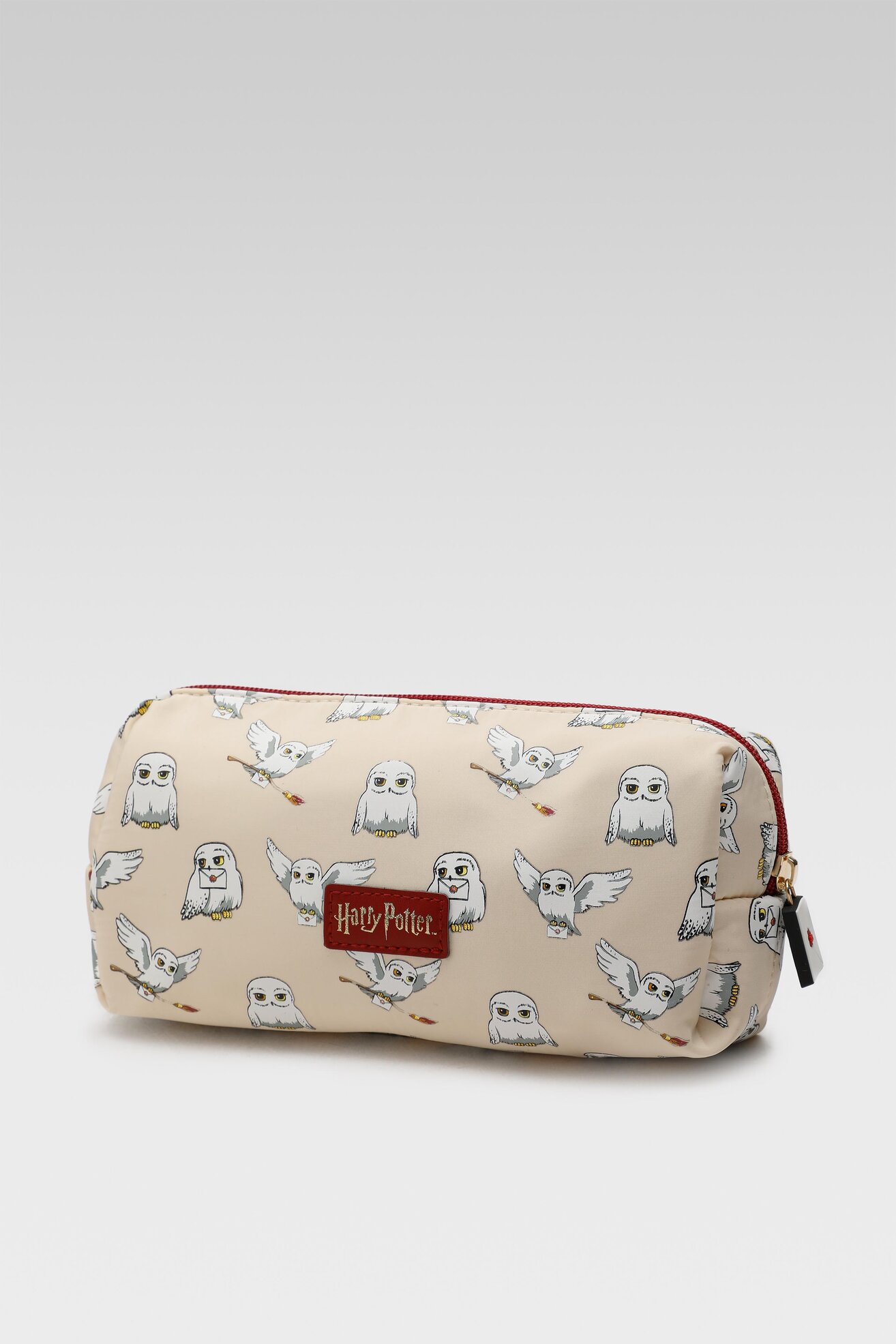 Piórnik Harry Potter ACCCS-AW22-037WBHP-B Beżowy
