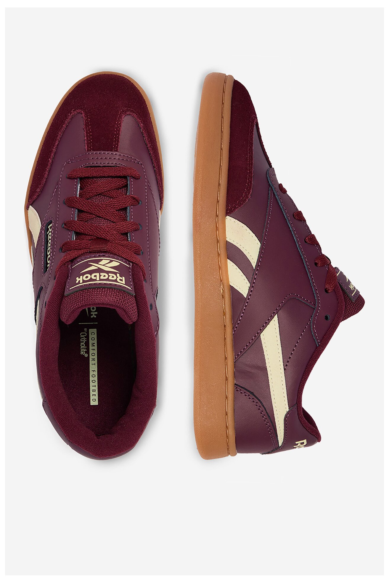 Sportska obuća Reebok CEO-FORTE LOUNGER AR30252W-RY BORDO