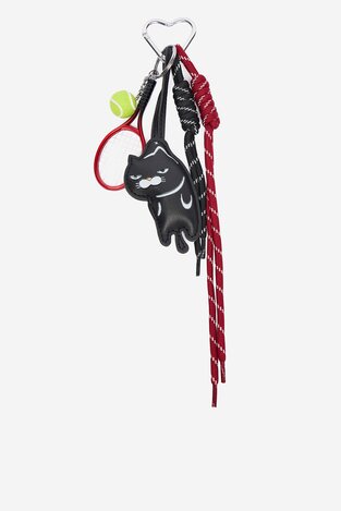 Брелок DeeZee CEO-9WF-001-AW25 МІКС