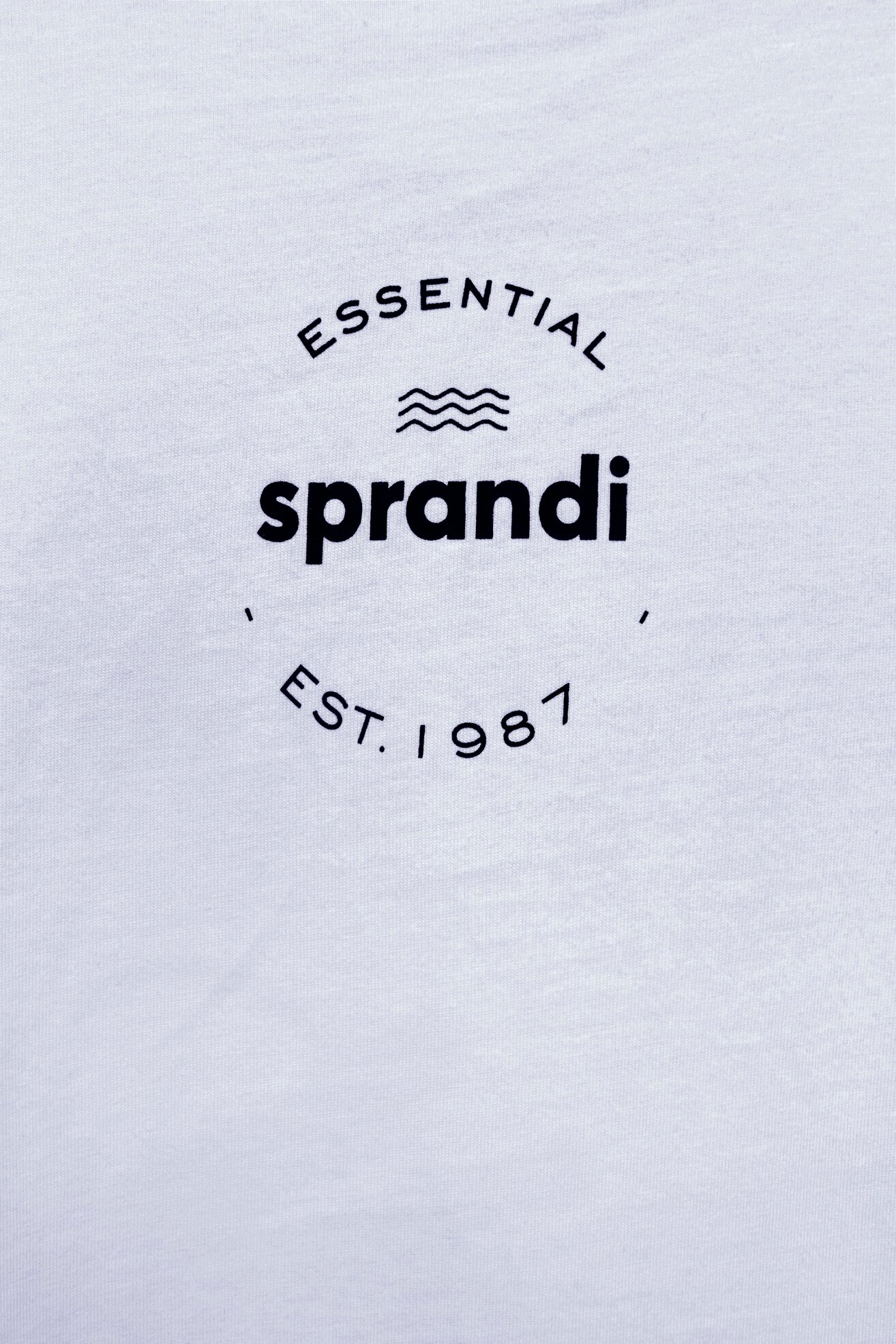 T-shirt Sprandi SP22-TSM002 Szary