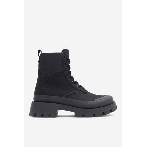 P. willinckii ’Jenny’ TC 2133 P. willinckii 'Jenny' TC 2133 P. willinckii 'Jenny' TC 2113