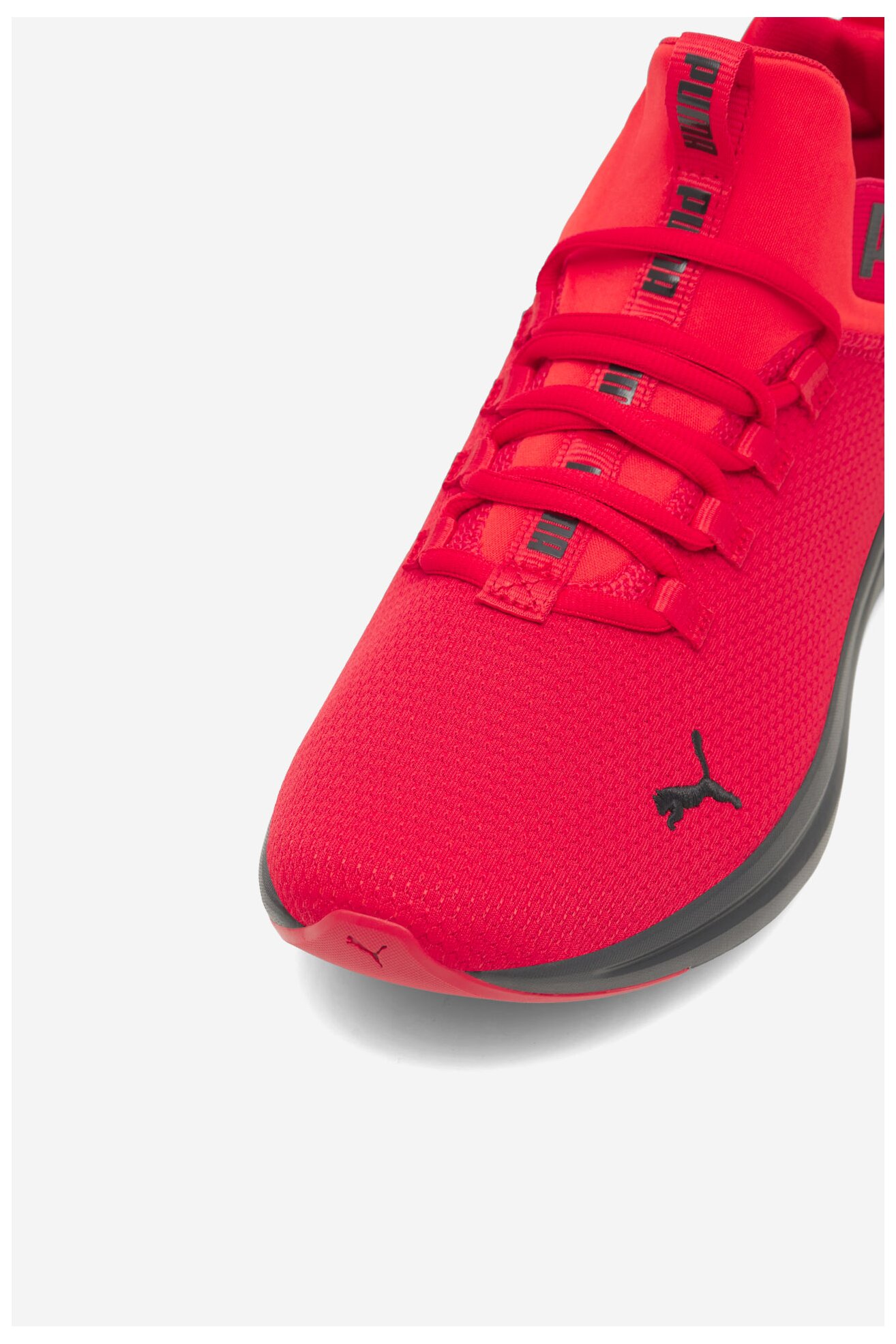 Obuwie sportowe Puma ENZO 2 CLEAN 37712606 Czerwony