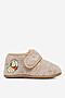 Kapcie Winnie The Pooh CEO-NJ-AW25-216WTP Beżowy