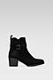 Botki Jenny Fairy WS5910-02 Czarny