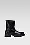 Botki Jenny Fairy WS5680-15 Czarny