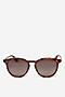 Okulary unisex Polaroid C PLD 6098/S Brązowy
