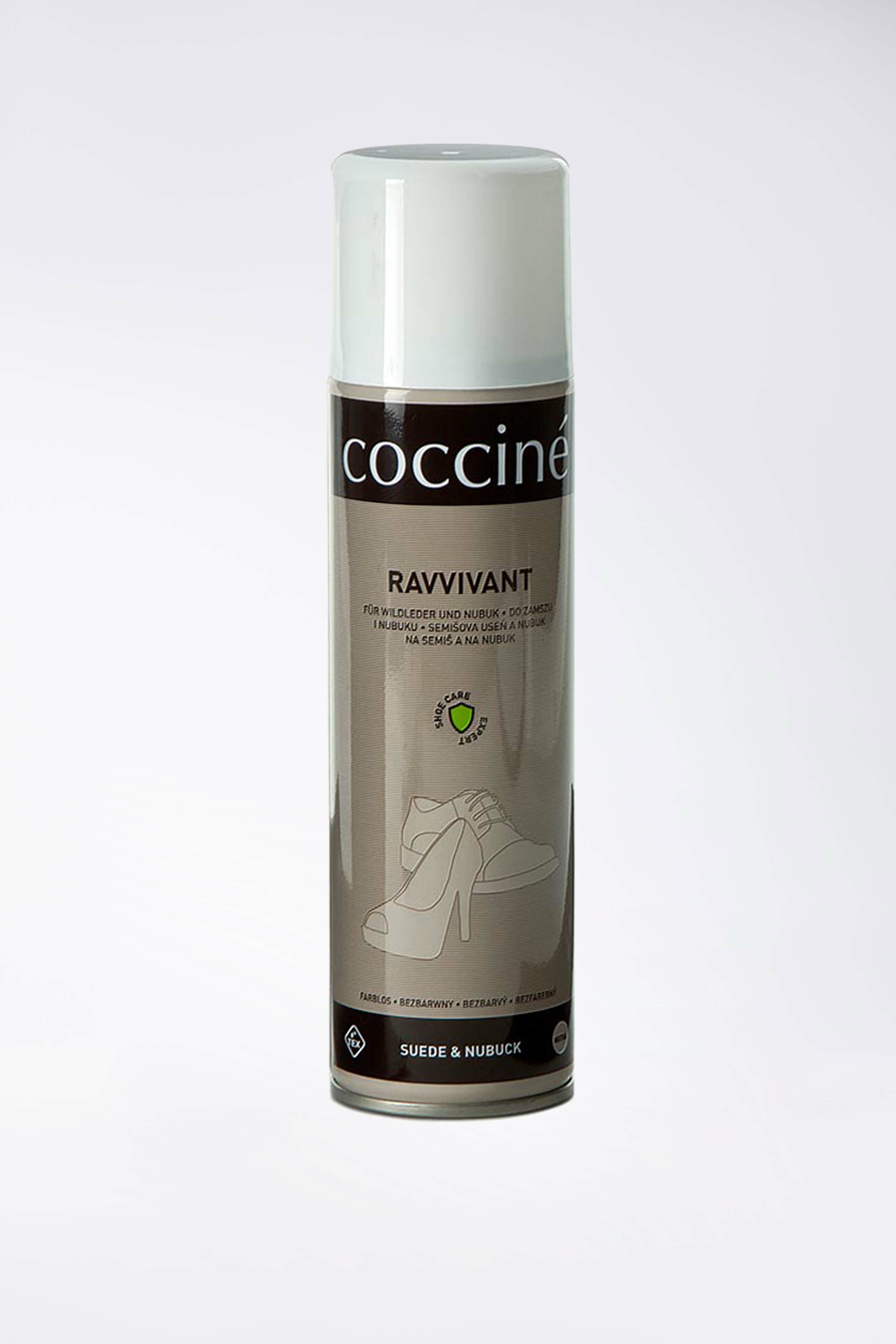 Kosmetyki do obuwia Coccine