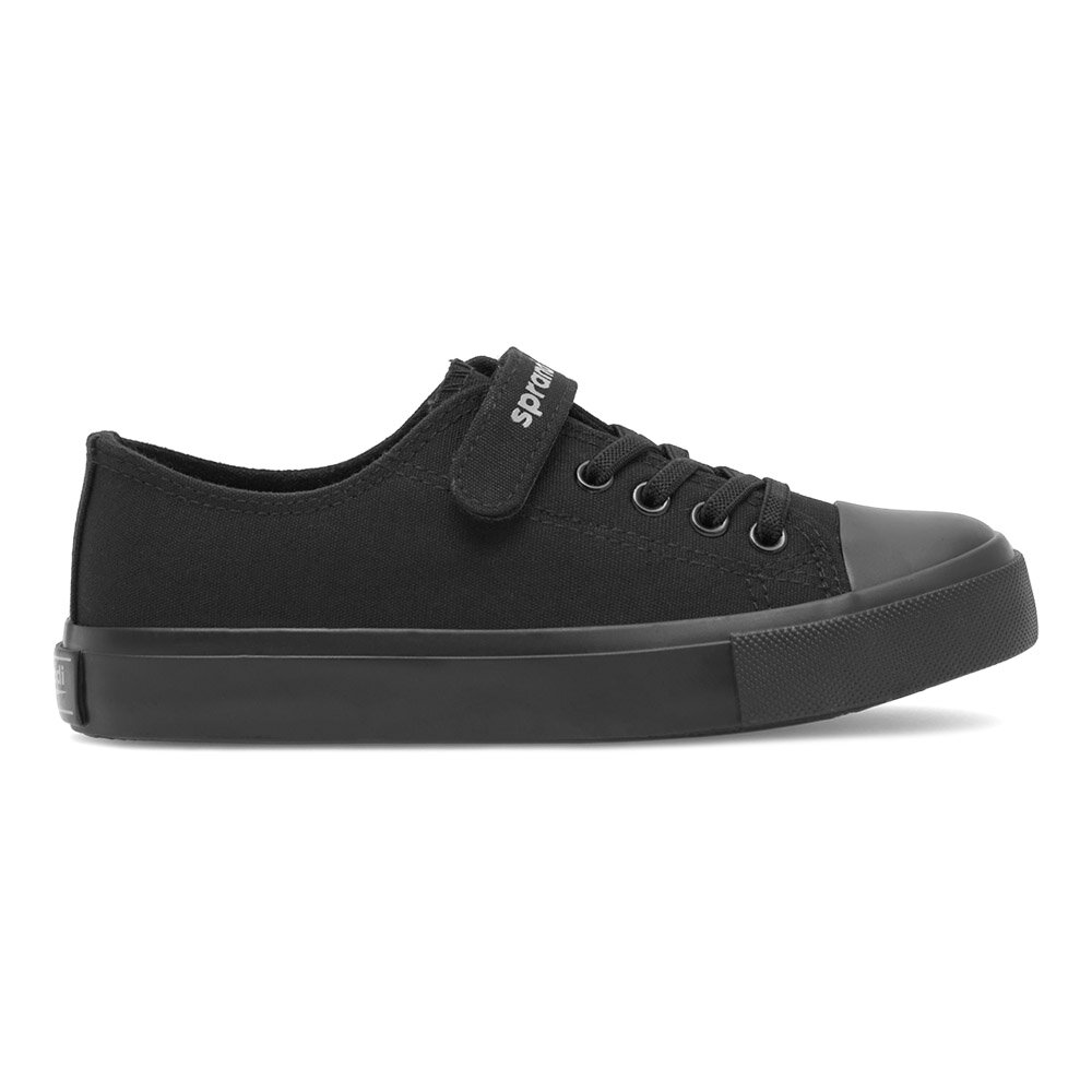 Кецове Sprandi