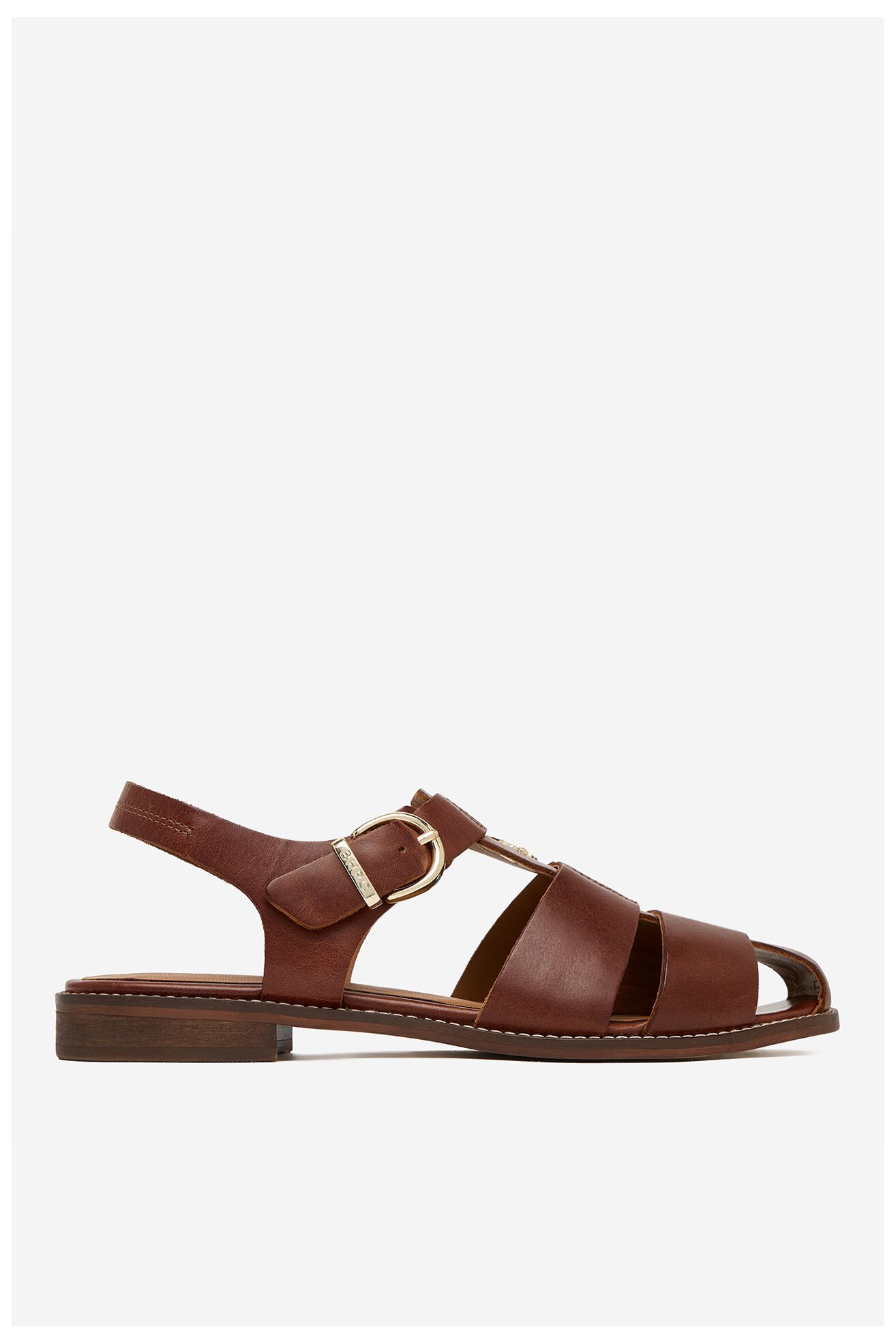 Sandały Beverly Hills Polo Club EO-WB-GEMMA-13 Brązowy