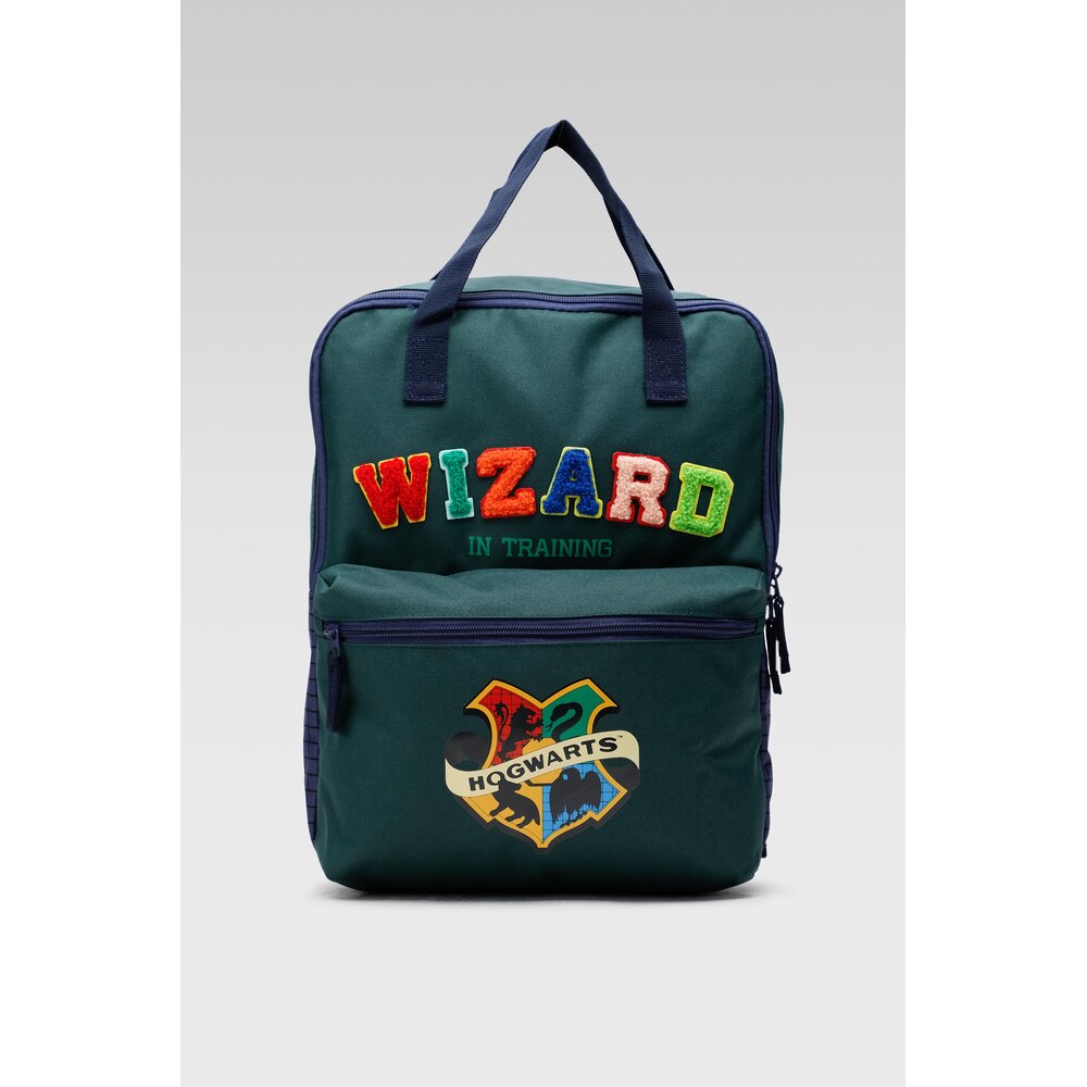 Rucksäcke und Taschen Harry Potter ACCCS-SS22-53-WBHP GRÜN One size - CCC